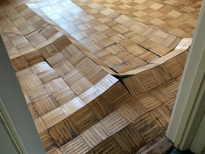 Water damage cleanup in progress